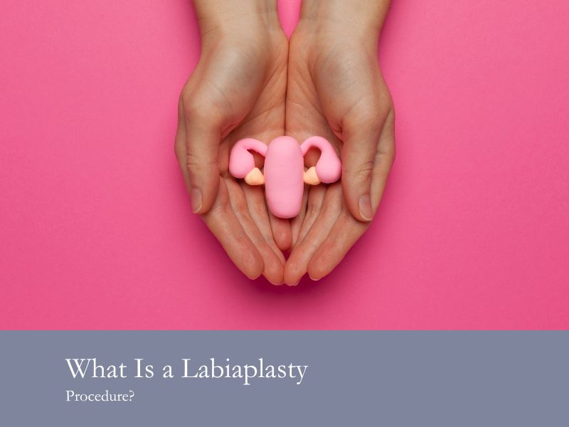 Labiaplasty Consultation: What it is?